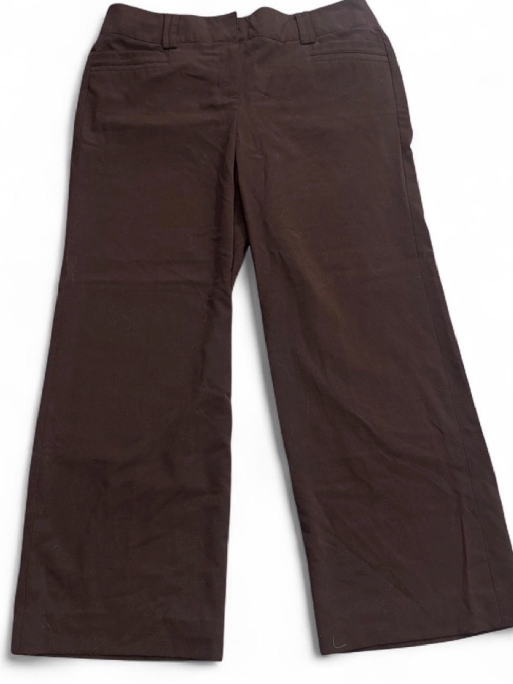 Sharagano Brown Wide-Leg Trousers